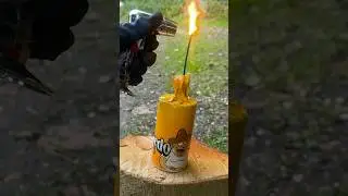 El Gordo 100🧨🍕 #fireworks #shortvideo