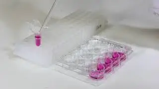 Direct-zol RNA Miniprep Plus Kit #ZymoResearch