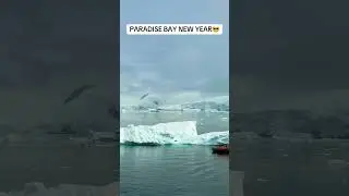 HAPPY NEW YEAR FROM ANTARTICA