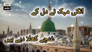 Unki Mehak Ny Dil Kay Gunchay Khila Diye Ha Voice Of Alhaj Muhammad Owais Raza Qadri