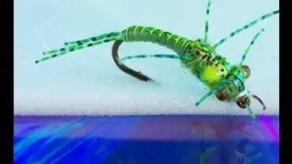 Key Lime Damsel - Fly Tying Video Tutorial by Curtis Fry
