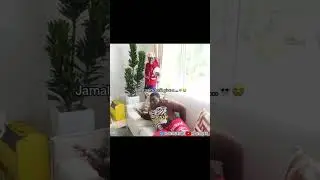 IShowSpeed Trolls Sleeping Jamal
