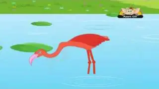 Animal Sounds in Hindi - Flamingo