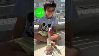 DIY grass head. #viralvideo #cute kids. Grow your own grass doll.  :)
