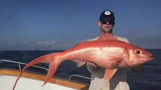Namotu Island Fiji Deep Drop Fishing - 300m plus!!