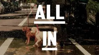 Go All In on Manhattan