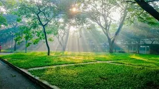 TCĐK  C&ocirc; L&yacute; Thị Mai tư vấn t&acirc;m l&yacute; 923