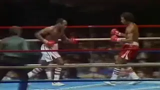 WOW!! WHAT A KNOCKOUT | Dwight Muhammad Qawi vs Eddie Davis, Full HD Highlights
