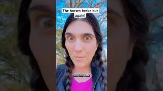 Scott regrets marrying a horse girl #horse #horses #horsegirl #equestrian #cowgirl #horseriding #pet