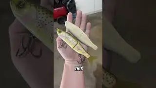 Making the BEST glide bait #bassfishingismylife #fishing #luremaking