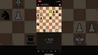 Lichess Puzzles 823993577