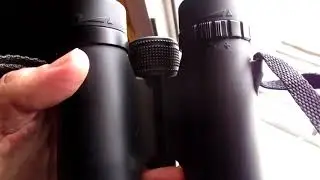 USCamel 10 26  реальная кратность