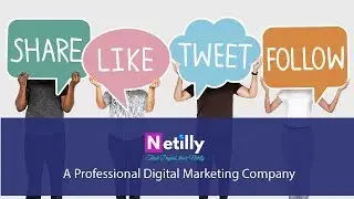 Netilly - A Professional Digital Marketing Company