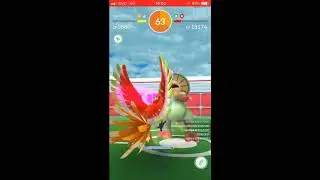 Ho-Oh 1v1 Breloom (no weather boost)