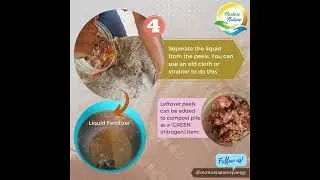 How To Make Liquid Fertilizer From Onion and Garlic Peels