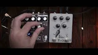 Silver Birch into ACV-1 with feedback drone
