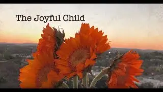 The Joyful Child Foundation