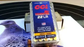.22lr CCI Velocitor!! Apresenta&ccedil;&atilde;o, Teste e Opini&atilde;o!