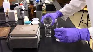 Sucrose Hydrolysis and Optical Rotation