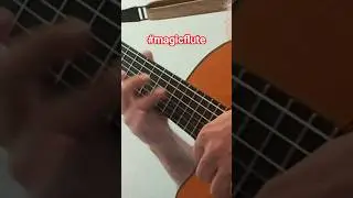 Finale - Sor's Magic Flute Op.9 | Classical Guitar