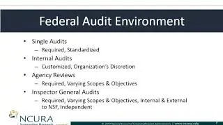 Highlight of OIG Audit Types