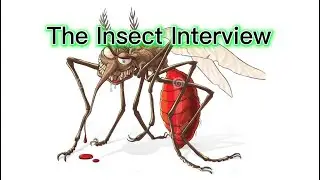 The Insect Interview