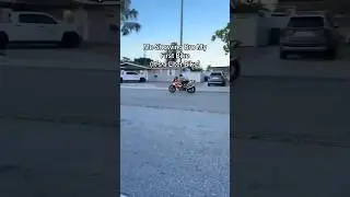 Perfect Beginner Liter Bike😇 #funny #bike #vtr1000 #superhawk #honda #sportsbike #biker #motorcycle