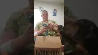 August bark box unboxing
