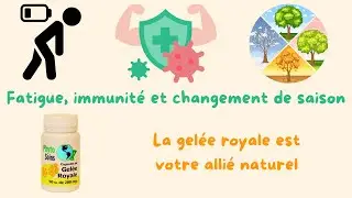 Gel&eacute;e Royale Phyto-Soins : Le Secret Naturel Contre la Fatigue !