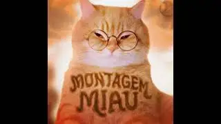 Montagem Miau