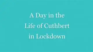 A day in the life of Cuthbert the Church Mouse in Lockdown.