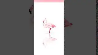 Reflection of Flamingo Animated