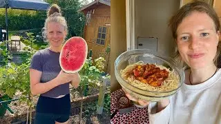 How Many Calories Do I Eat Per Day? (+ how much exercise)