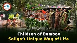 The Soliga Tribe: Guardians of Nature & India's First Forest Rights Holders