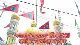 Roje Ashurar Michilpak Kadoa Murshidabad WB#NS2024​ #MainAlamdar​ #nadeemsarwar​ #45thAlbum