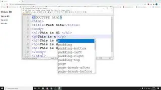 HTML Mini Series 6 Paragraphs
