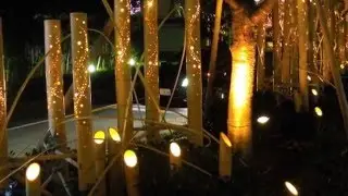 Discover the MAGIC of Chiku Raku Festival of Bamboo Lights in Japan  HD