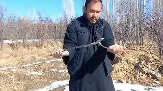 ترفند شناسایی آب زیر زمینی برای حفر چاه.