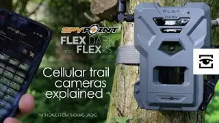 Cellular trail cameras explained (with the Spypoint FLEX DARK & FLEX-S)