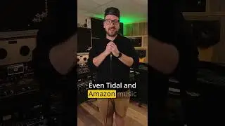 Which streaming platform pays the highest royalty rates per stream? #independentartists