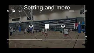 SETTER(C/O 29) #16