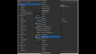 Change language in BleachBit 4.9.1