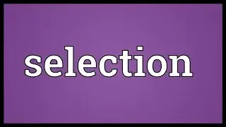 Selection Meaning