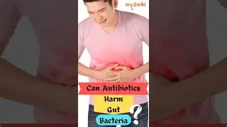 Can antibiotics harm gut bacteria? #antibiotic #bacteria #guthealth #health #goodbacteria #shorts