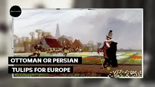 Ottoman or persian iran - history of tulips