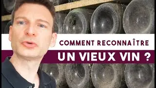 Les repères clés pour reconnaître un vieux vin (leçon n°75)