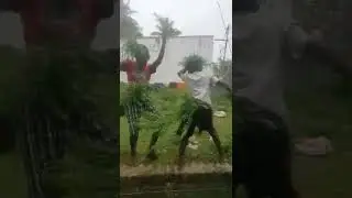 ling ling ling lingidi fun