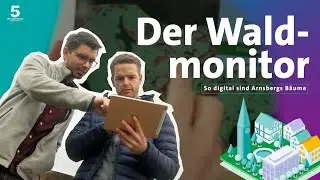 5 f&uuml;r S&uuml;dwestfalen // Arnsberg // Waldmonitor