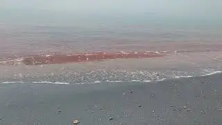 Silver Sands &  Red Waves &ndash; Peaceful Red Sea Escape @iran (No Music)