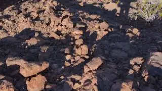LONE PALM AND LOST MAN HOT SPRINGS LOOP | Lake Mead | Colorado River | Hiking Adventure | #shorts |